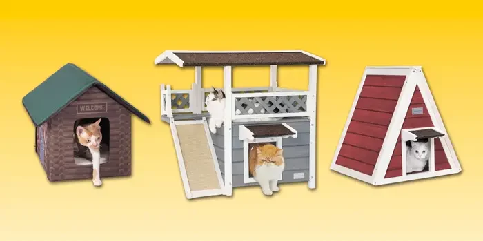 Top Best Cat Houses